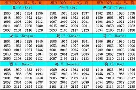 2002年屬|2002年属什么生肖 2002年属什么的生肖